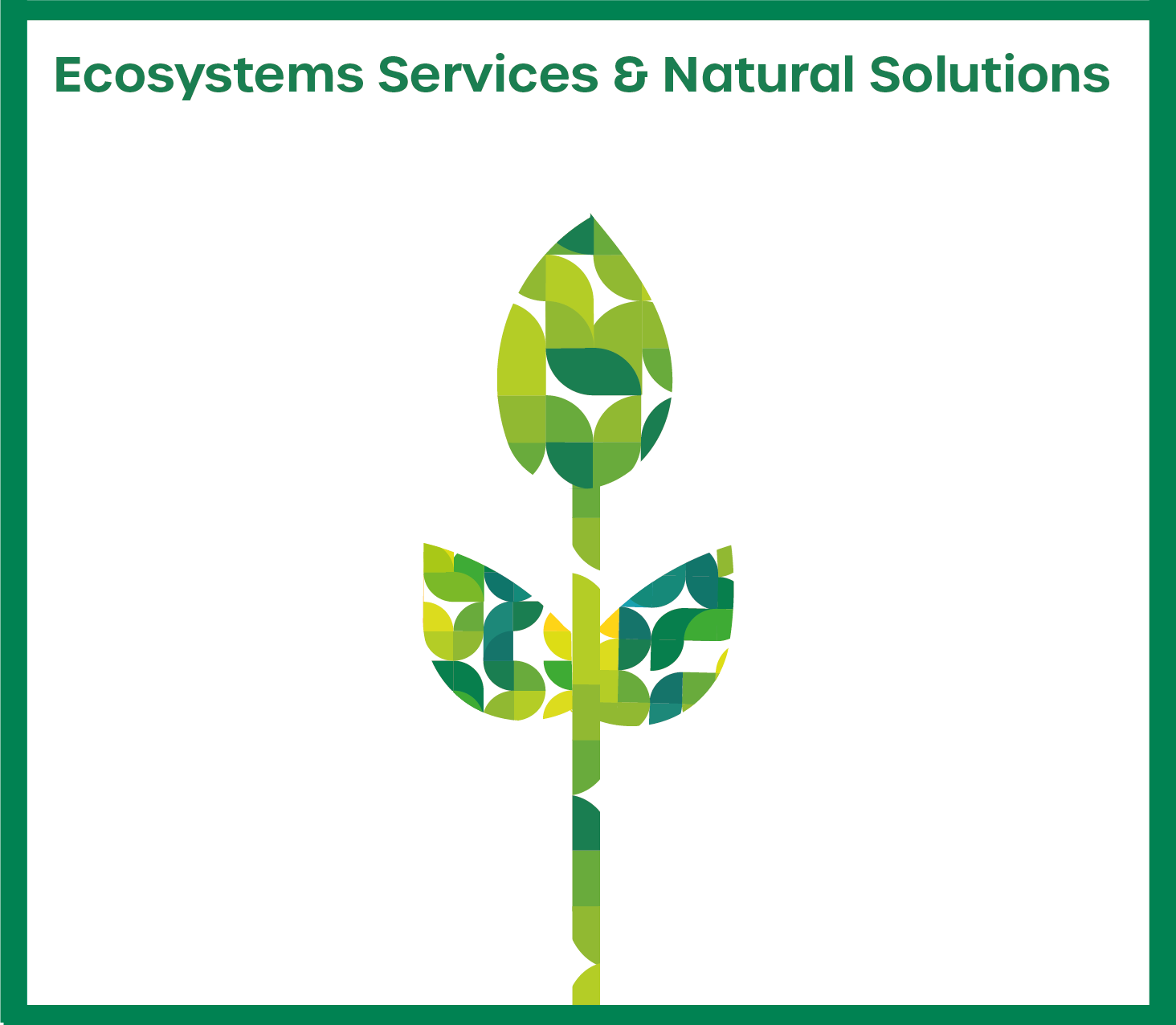 Icon Ökosystemleistungen und naturbasierte Lösungen